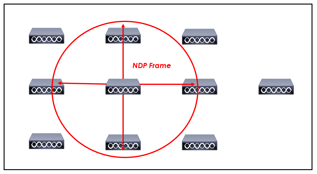 NDP Frame Overview